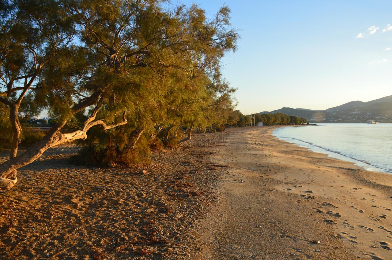 Thalasea - Village Antiparos Luaran gambar